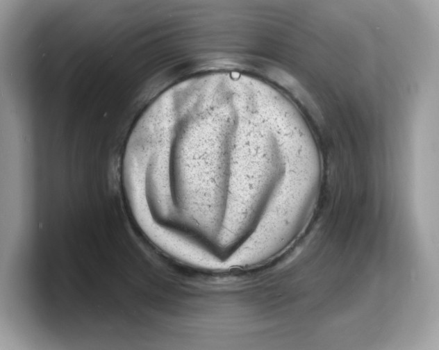 X0000103241233200809181537