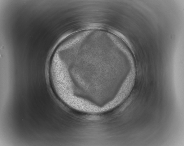 X0000103241235200809181537