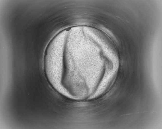 X0000103241236200809181537