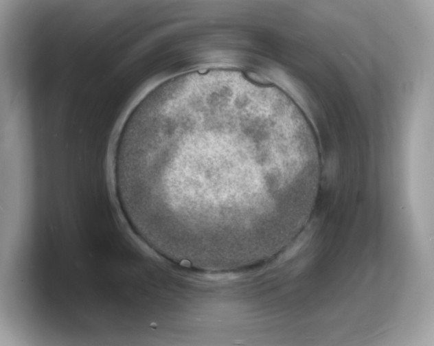 X0000103241243200809181537