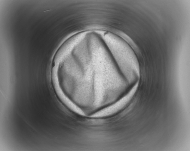 X0000103241244200809181537