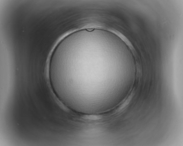 X0000103241246200809181537