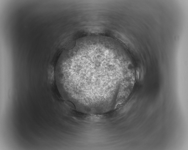 X0000103241251200809181537