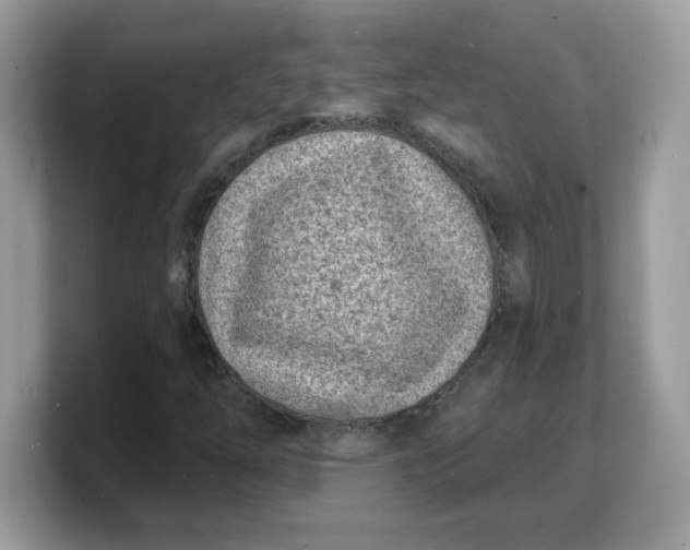 X0000103241254200809181537