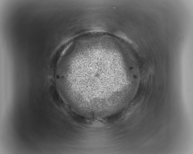 X0000103241255200809181537