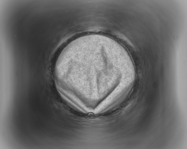 X0000103241256200809181537