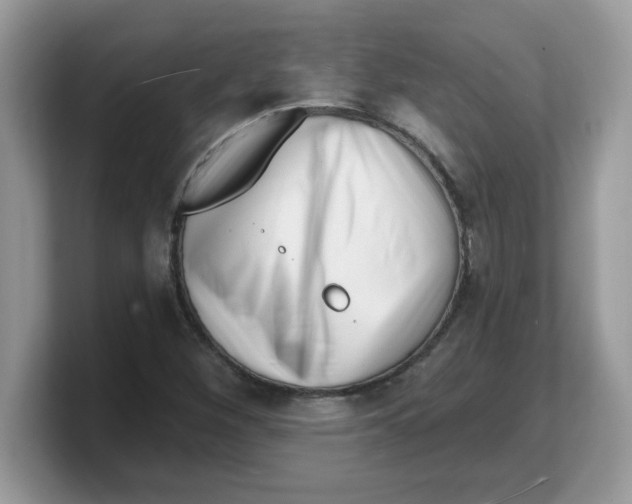 X0000103241260200809181537