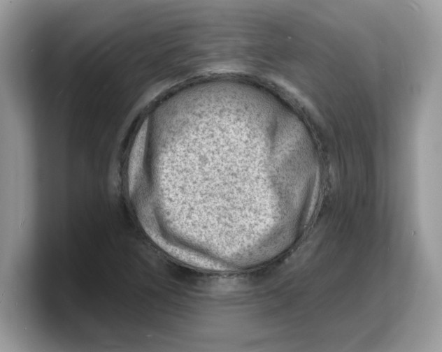 X0000103241266200809181537