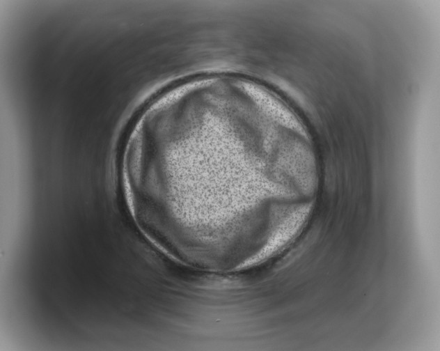 X0000103241270200809181537