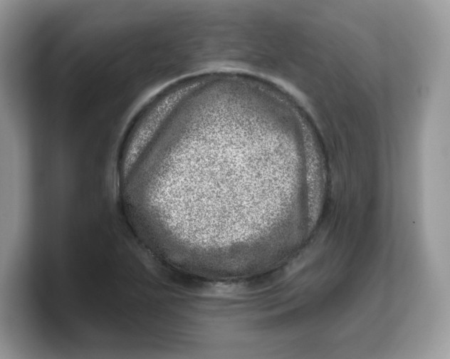 X0000103241271200809181537