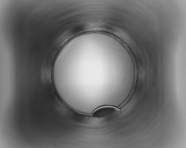 X0000103241273200809181537