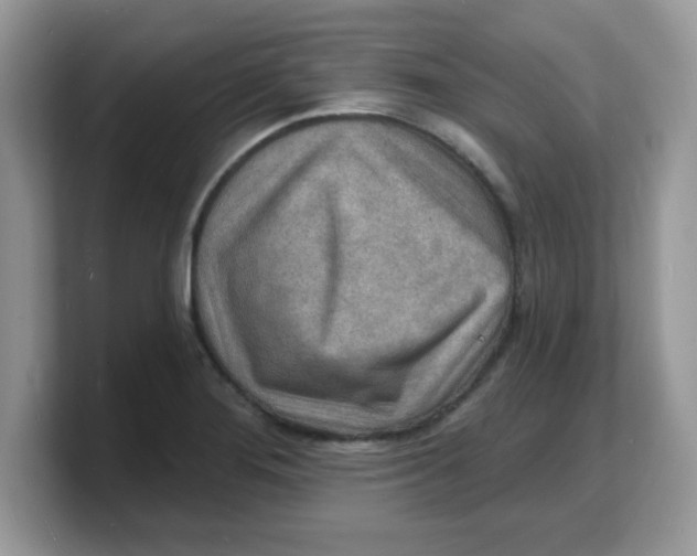 X0000103241276200809181537