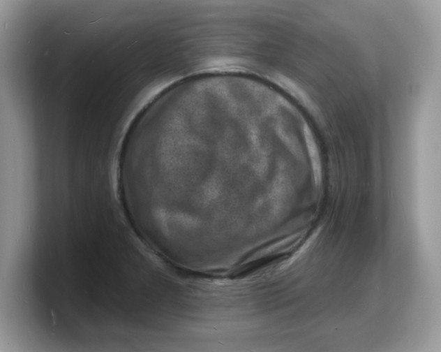 X0000103241277200809181537