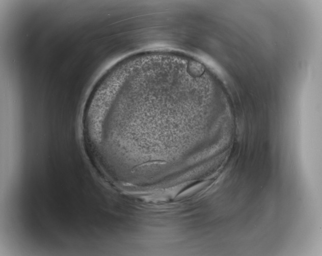 X0000103241279200809181537