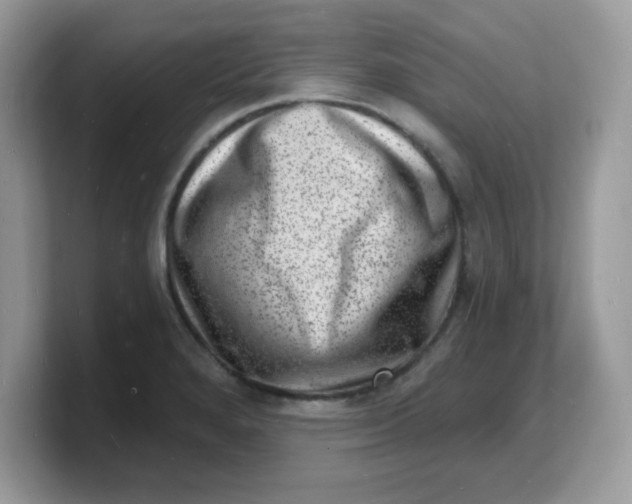 X0000103241280200809181536