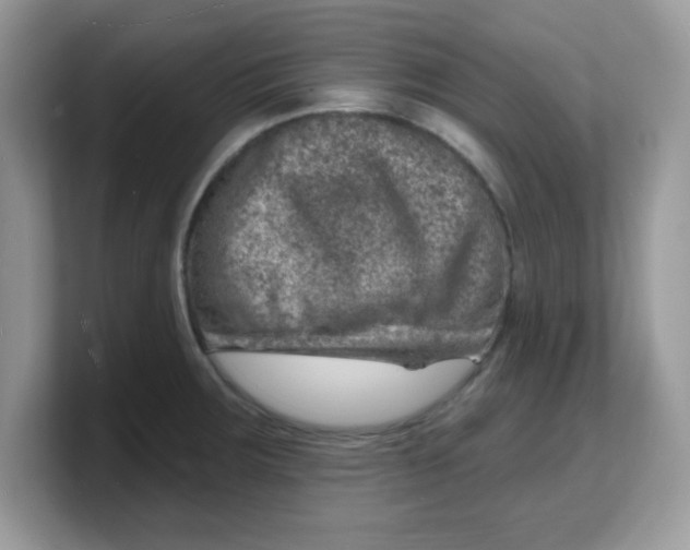 X0000103241283200809181536