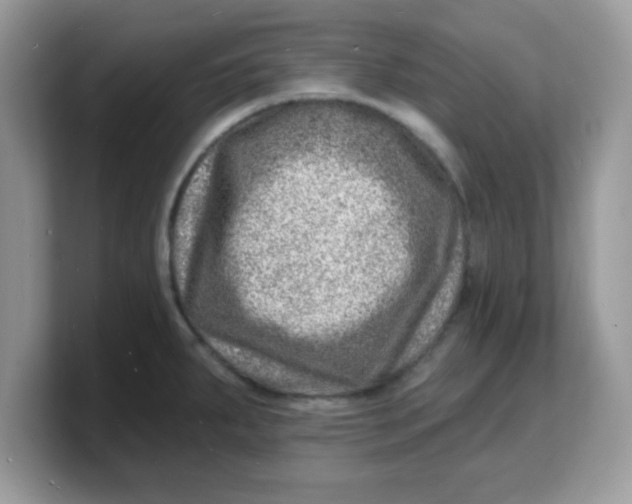 X0000103241287200809181536