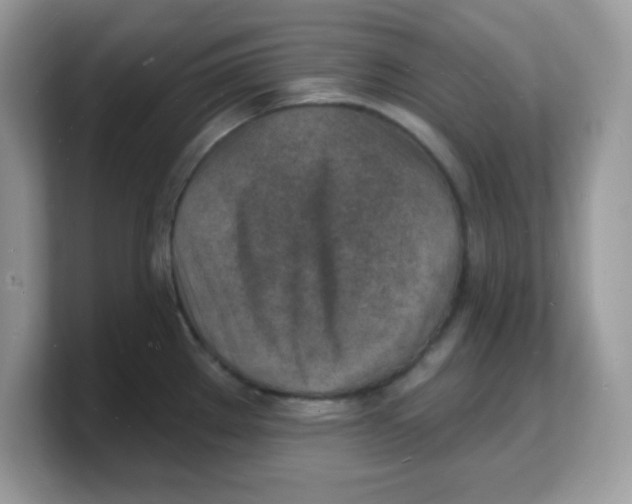 X0000103241289200809181536