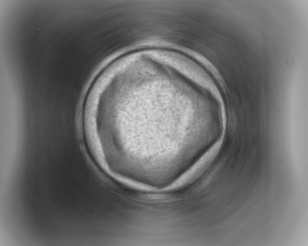 X0000103241295200809181536