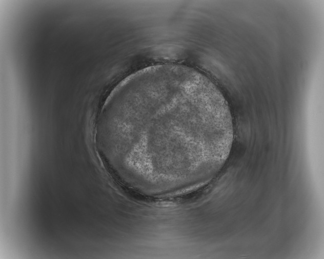 X0000103241297200809181536