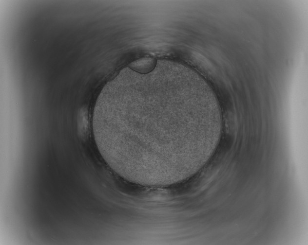 X0000103241298200809181536