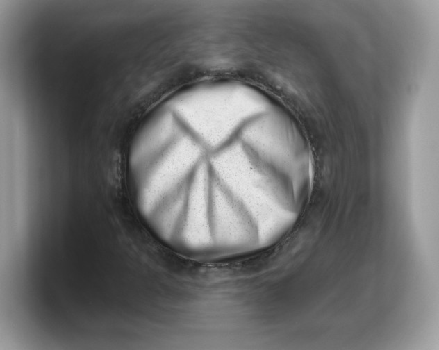 X0000103241301200809181536