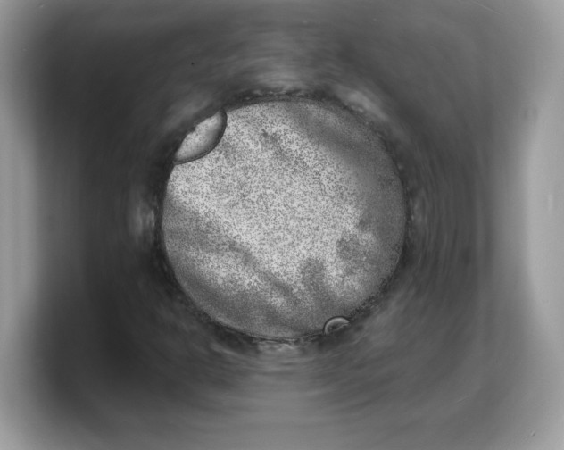 X0000103241302200809181536