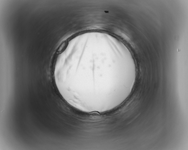 X0000103241308200809181536