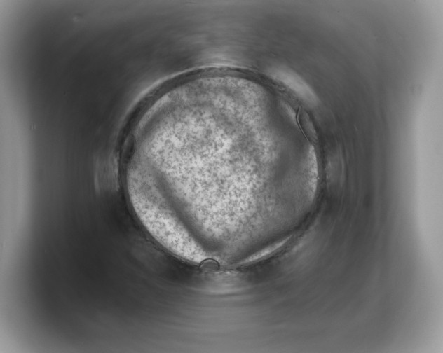 X0000103241310200809181536