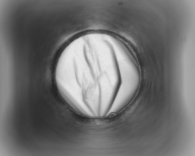 X0000103241311200809181536