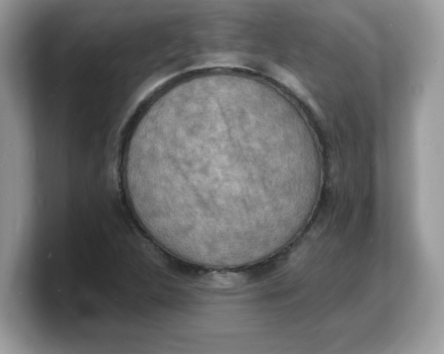 X0000103241312200809181536