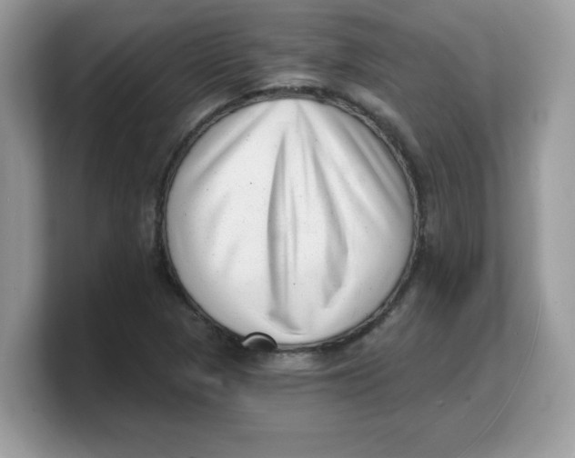 X0000103241313200809181536