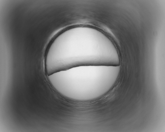 X0000103241320200809181536