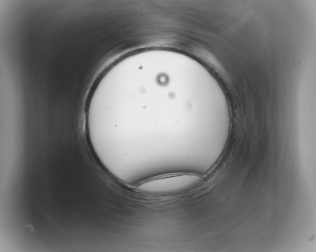 X0000103241324200809181536