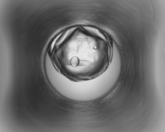 X0000103241326200809181536