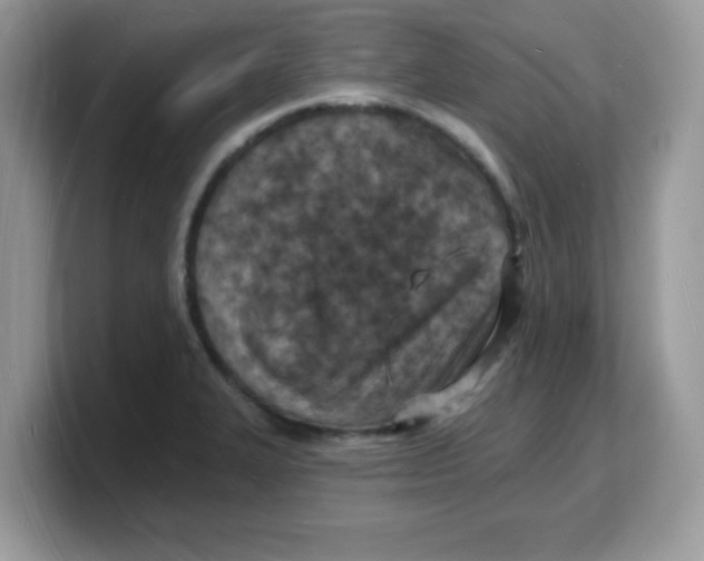 X0000103241327200809181536