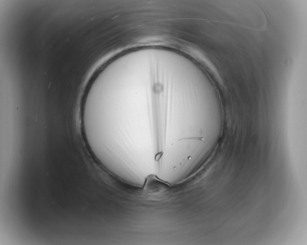 X0000103241328200809181536