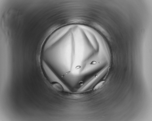 X0000103241330200809181536