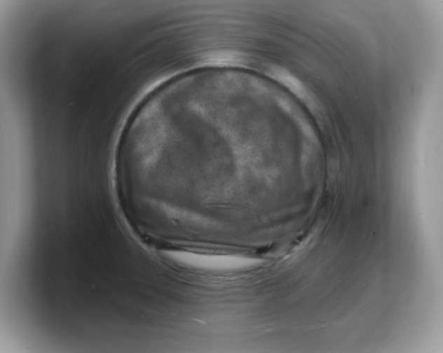 X0000103241331200809181536