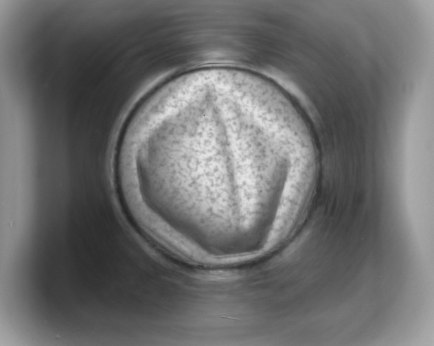 X0000103241333200809181536