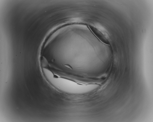 X0000103241334200809181536