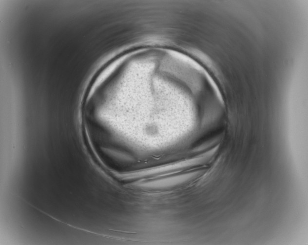 X0000103241335200809181536