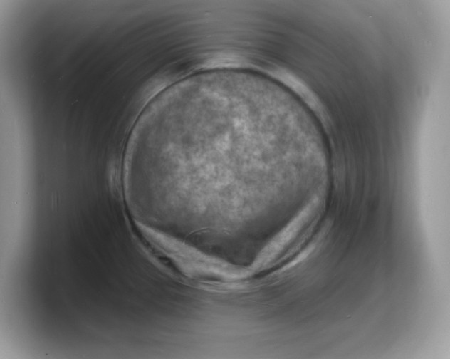 X0000103241337200809181536