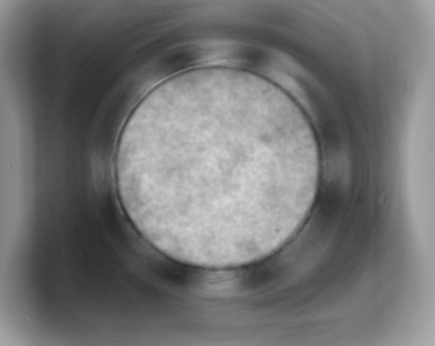 X0000103241338200809181536