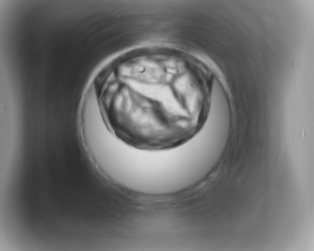 X0000103241344200809181536