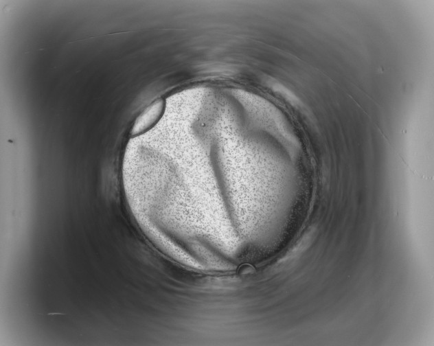 X0000103241354200809181536