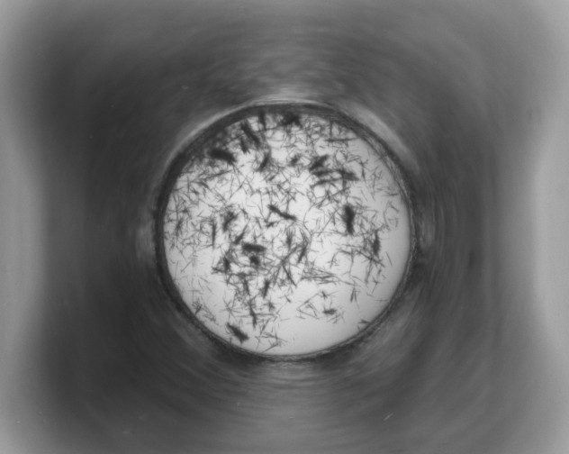 X0000103241356200809181536