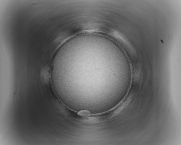 X0000103241361200809181535