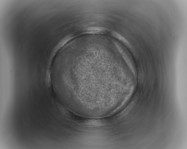 X0000103241362200809181535