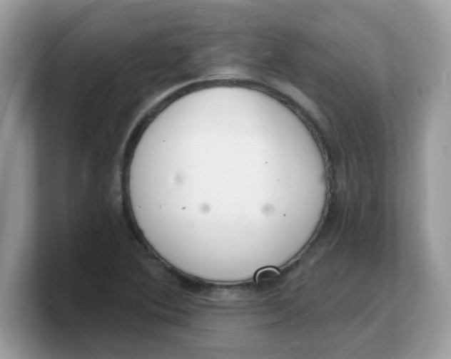 X0000103241364200809181535